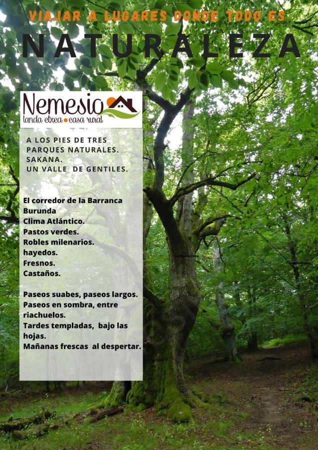 Casa Rural Nemesio Iturmendi Eksteriør billede